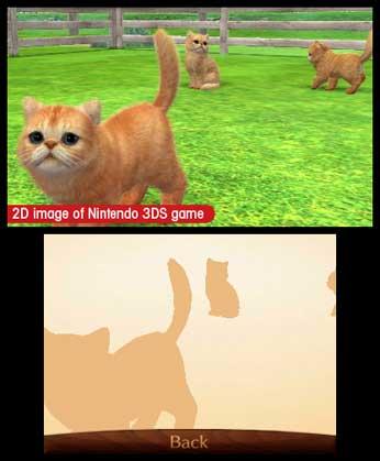 Actual product image Nintendo gs and Cats 3D Toy Poodle (Select) (3DS, EN)
