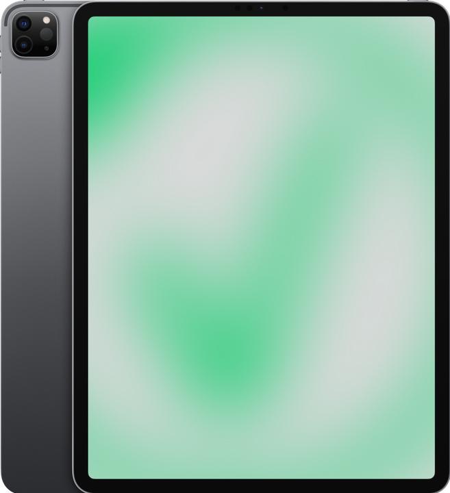 Revendo iPad Pro 5. Gen (2021) (12.90", 256 GB, Space grey, B / Molto bene)
