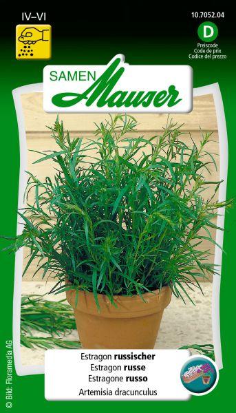 Samen Mauser Estragon, russischer (Kräutersamen)
