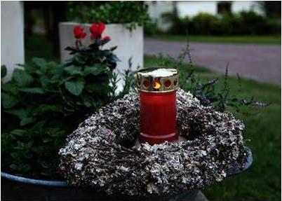 Immagine prodotto Star Trading Sereno (1 x)