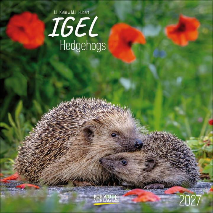 Produktbild Igel 2027