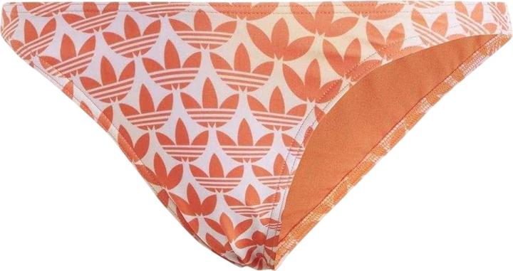 Orange, Orchidee