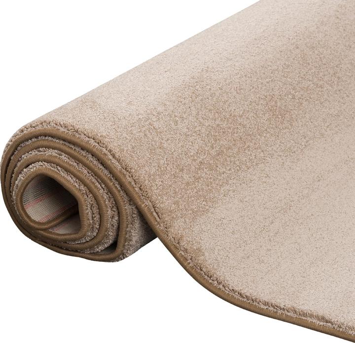 Produktbild Snapstyle Hochflor Luxus Velours Teppich Touch (100 x 300 cm)