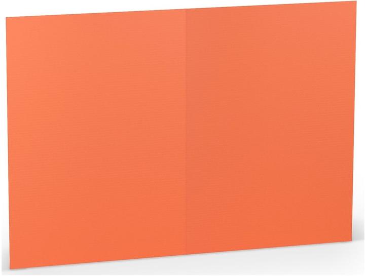 Actual product image Paperado Double card B6 high PU=5 pieces Coral (5 pcs.)