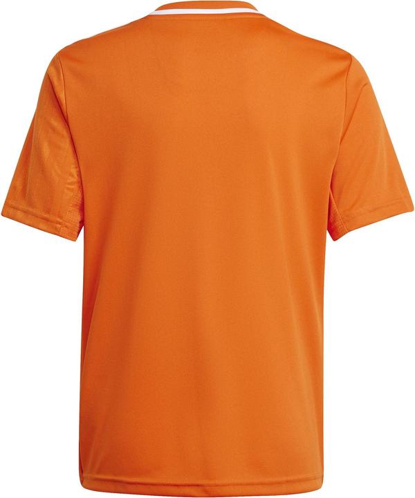 Immagine prodotto adidas Maglia Campeon 25 Bambini (176)