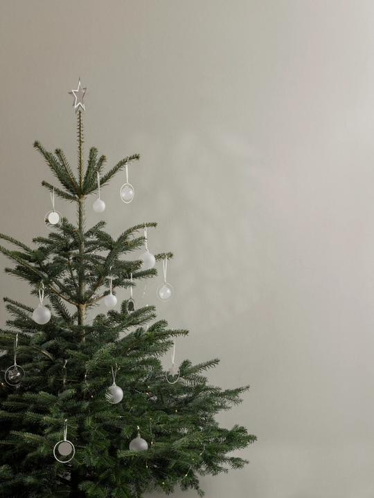 Actual product image Blomus JUHLA Weihnachtsschmuck M clear 7cm 4tlg (4 x)