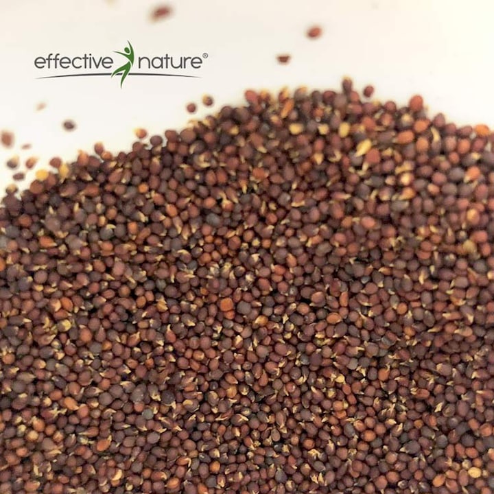 Immagine prodotto Effective Nature Semi di broccoli germogliati