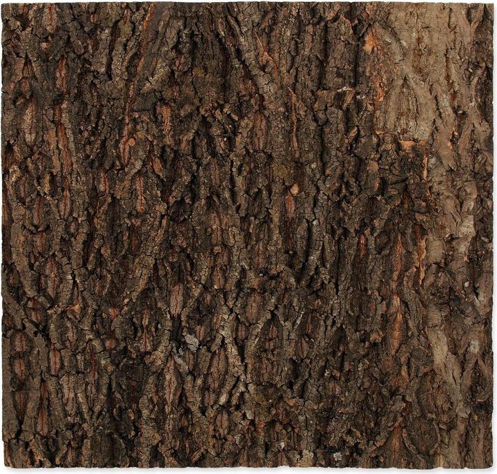 Repti Planet Paroi arrière en liège 58.5 x 56 x 2 cm