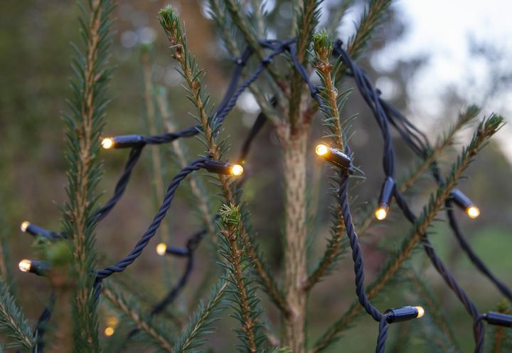 Actual product image Star Trading System 24 Extra, tree light chain 6 strands, 28x180cm (0.07 m)