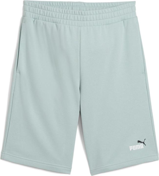 Image du produit Puma ESS 2 COLOR No. 1 Logo Shorts 10" TR (XL)