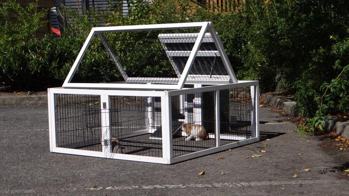 Image du produit Jamb Petit blanc