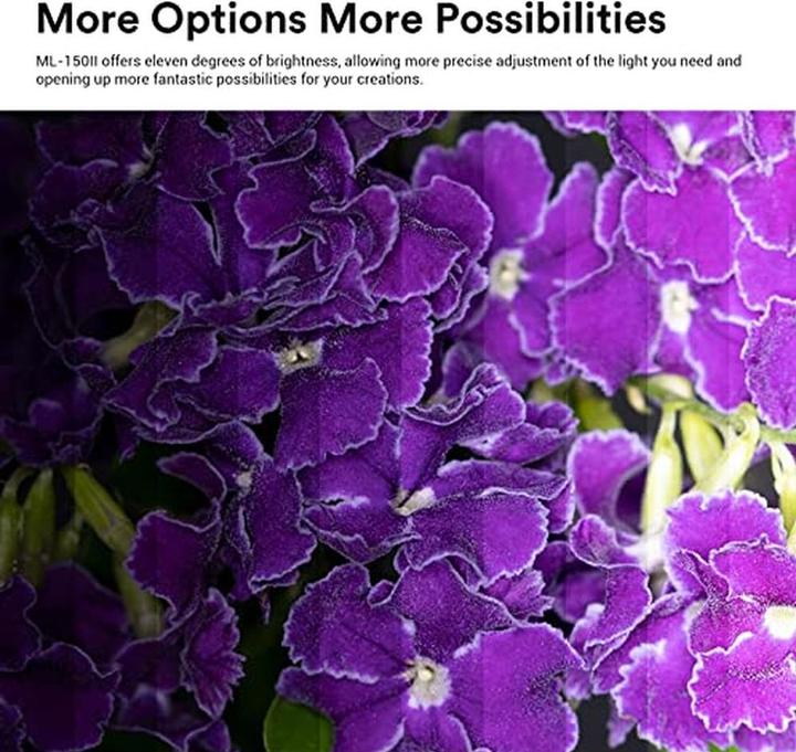 Produktbild Godox ML-150II (Makroblitz, Canon, Sony, Nikon, Pentax, Olympus, Fuji, Leica)