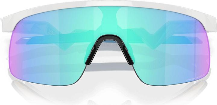 Actual product image Oakley Resistor (Polished white, Prizm Sapphires)