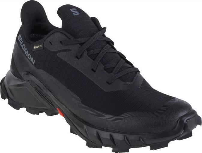 Image du produit Salomon Alphacross 5 GTX (39 1/3)