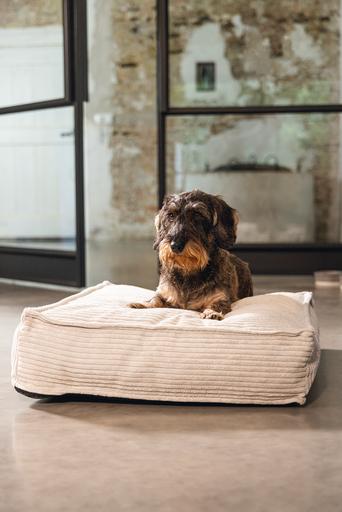 Produktbild Designed by Lotte Ribbed (Hund)