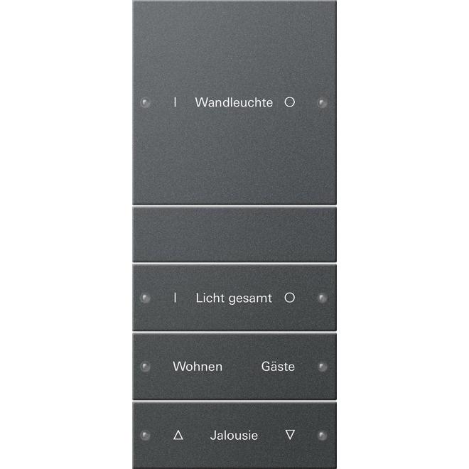 Gira, Programma di commutazione degli accessori, Set di bilancieri 4f (1+3) con scritta System 55 220428
