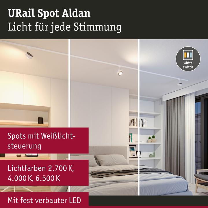 Immagine prodotto Paulmann Spot URail Aldan (720 lm)