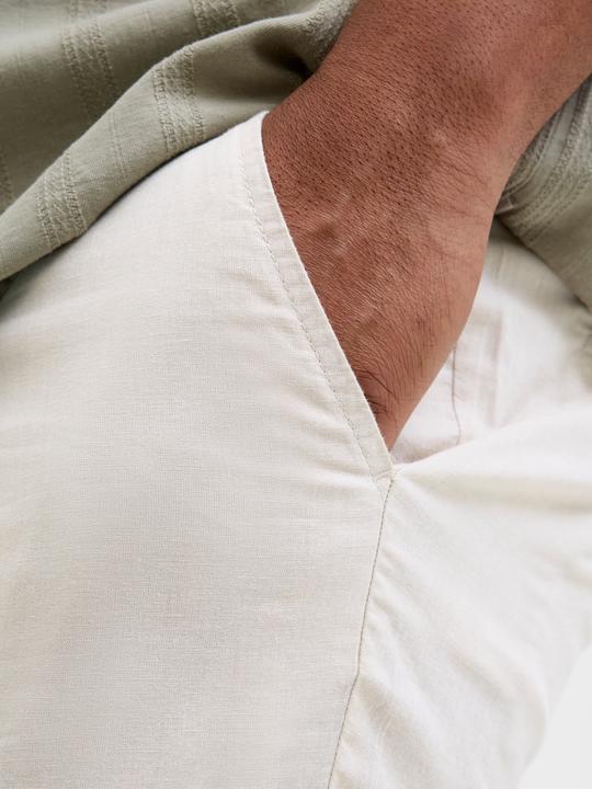 Image du produit Jack & Jones Plus Rajeuni Short Chino Short Chino (44)