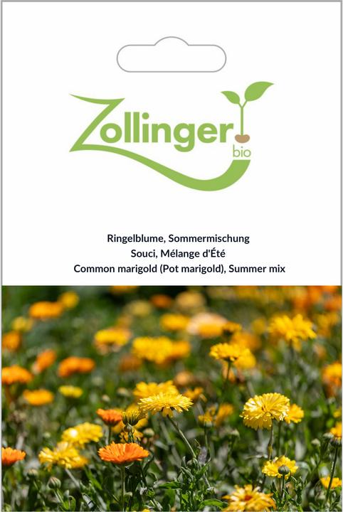 Zollinger Bio Ringelblume (Semi di piante)