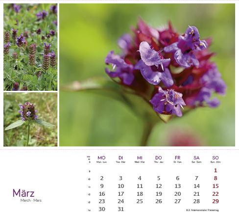 Produktbild HeilpfanzenrundumdenBodensee2026