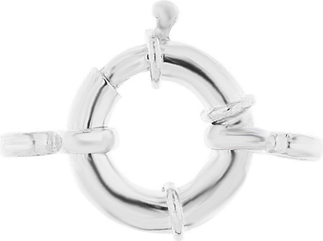 Actual product image Leyda Spring Ring Clasp with Eyelets