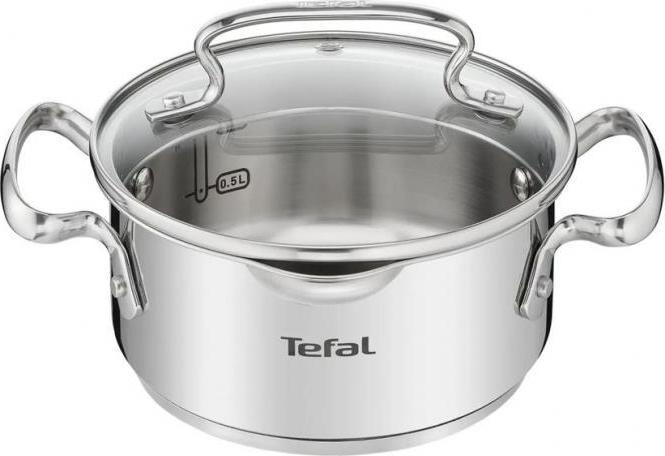 Tefal Duetto+ (18 cm, Kochtopf, Edelstahl)