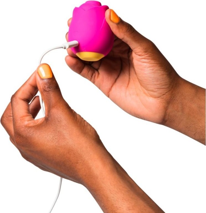 Produktbild Romp Rose