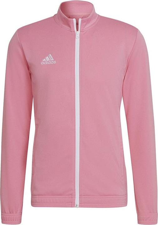 adidas Entrada 22 men's training jacket (M)