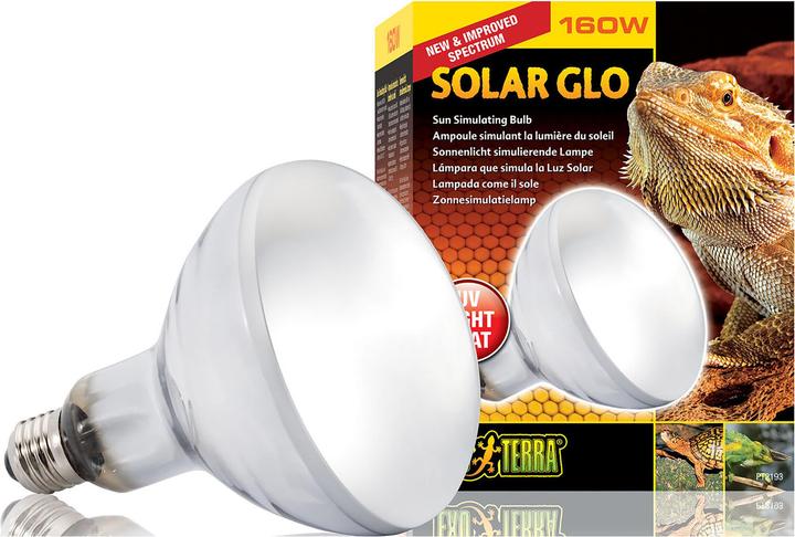 Exo Terra Solar Glo (UVB, UVA)