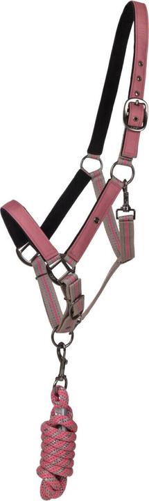 Image du produit Qhp Duo licol et longe collection pour cheval