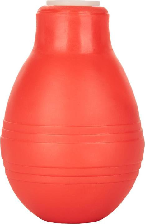 Actual product image CalExotics anal douche