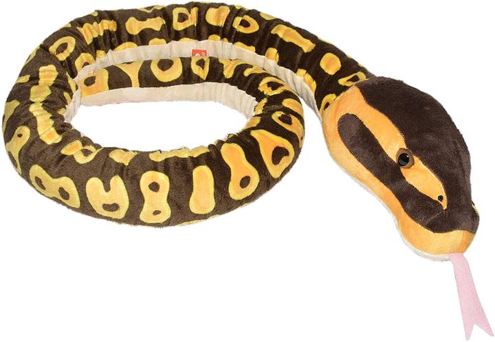 Actual product image Wild Republic Royal python
