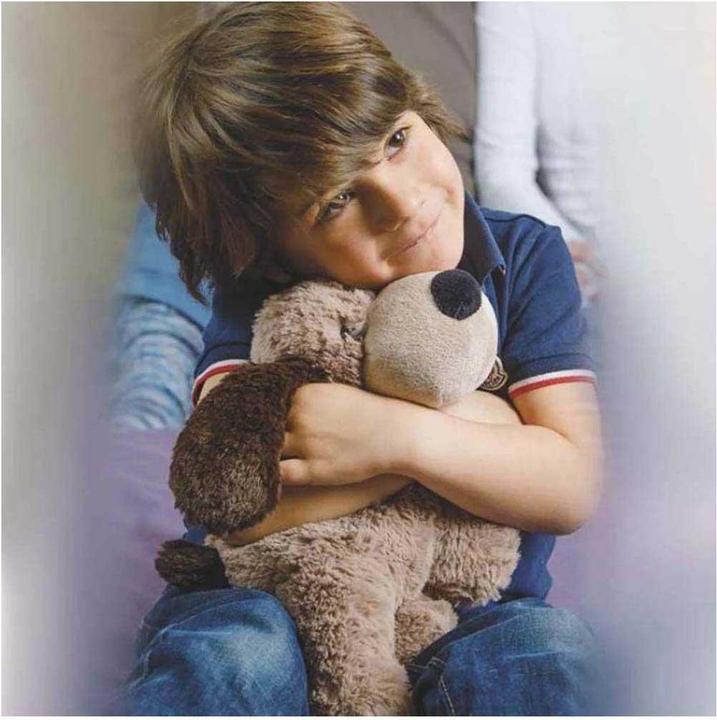 Image du produit Warmies - Chien brun = 7002.04