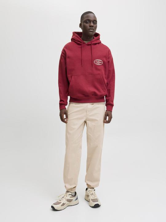 Actual product image Jack & Jones Jpstkane Troy Cuffed Jogger Sn (XS)