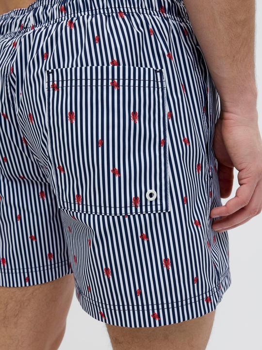 Produktbild Jack & Jones Jpstmaui Jjswim Mini Stripe Akm Sn (XS)