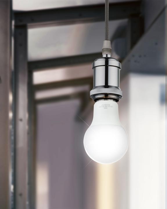 Actual product image Globo LED illuminant aluminum 1xE27 LED (E27, 9 W, 810 lm, 1 x, F)