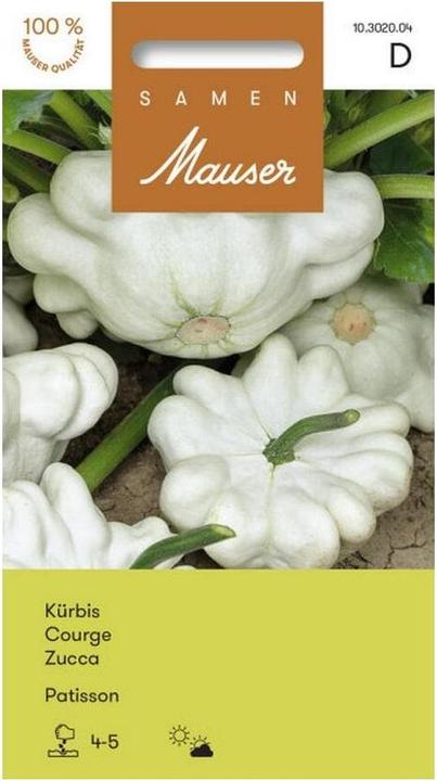 Actual product image Samen Mauser Kürbis Patisson (Vegetable seeds)