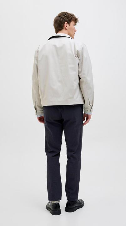 Actual product image Jack & Jones Jprstan Seersucker Trouser (48)