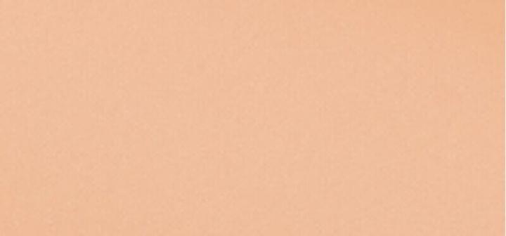 Actual product image L'Oréal Paris True Match Hyaluron Tinted Balm (Neutral Light)
