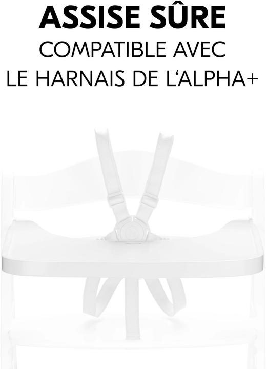 Actual product image Hauck Alpha