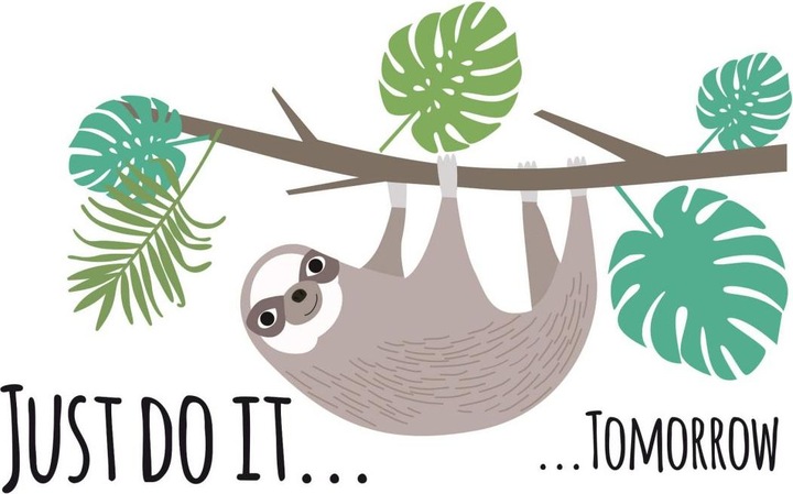 Produktbild Trenddeko Faultier - Just do it tommorow (160 x 100 cm)