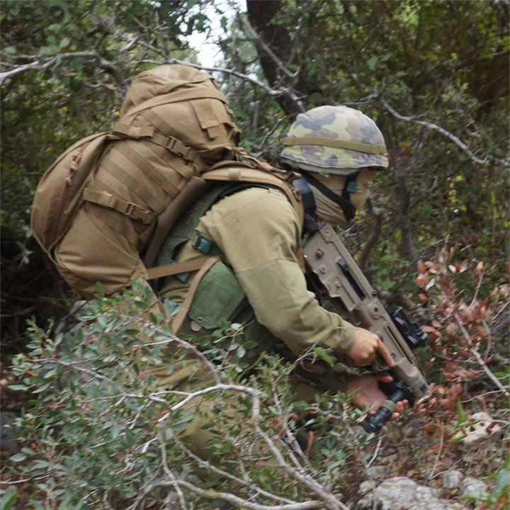 Actual product image Tactical Gear Double-D Backpack Outdoor Backpack (45 l)