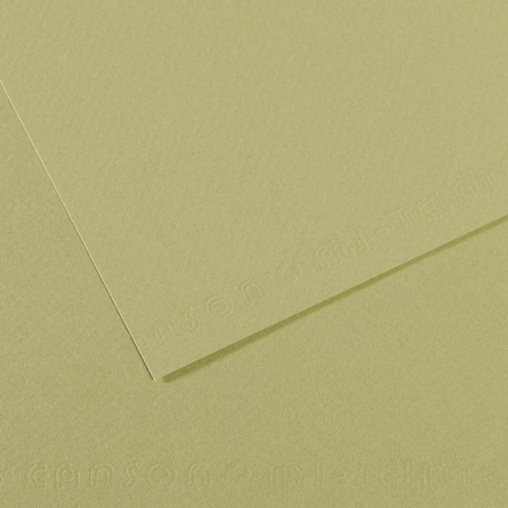 Actual product image Canson Drawing paper Mi-Teintes, light green (160 g/m²)