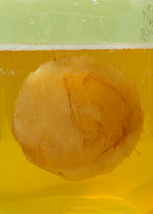 Actual product image KoRo Kombucha Scoby (1 x 20 cl)