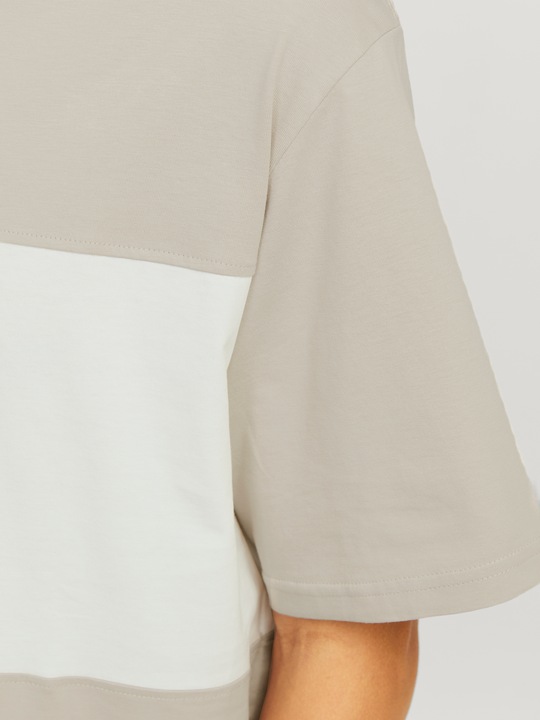 Produktbild Jack & Jones Jorvesterbro Block Tee Ss Crew Styd Aw24 (L)