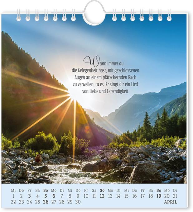 Actual product image Postkartenkalender 2026 Lebenszeichen