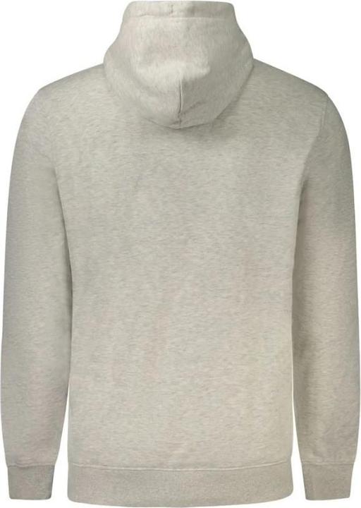 Immagine prodotto Tommy Jeans Tjm Reg Linear Logo Hoodie Ext (XXL)