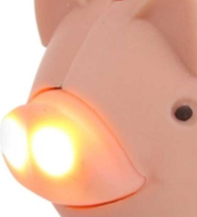 Produktbild Regatta Great Outdoors Tierschlüsselanhänger Mit Licht