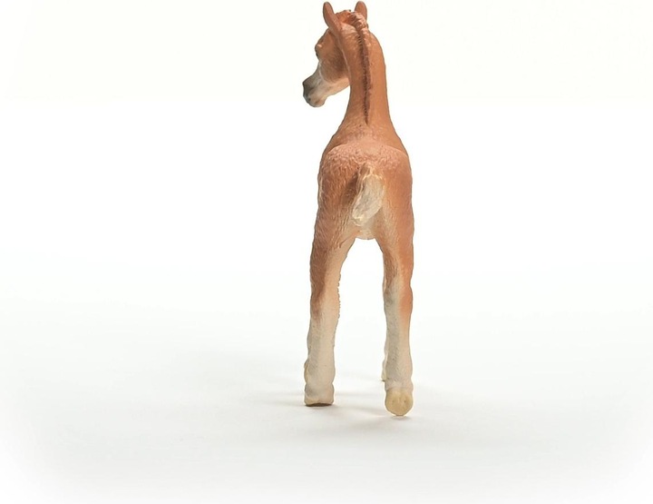 Produktbild Schleich Araber Fohlen