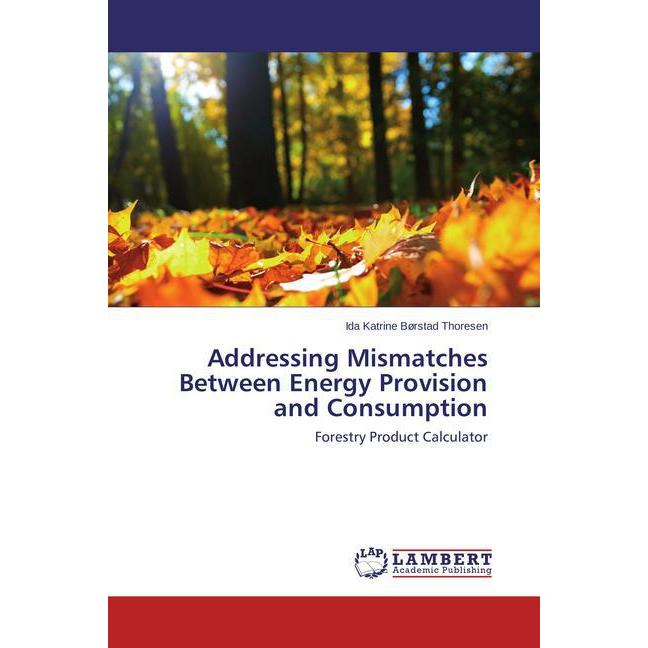Addressing Mismatches Between Energy Provision and Consumption, Fachbücher